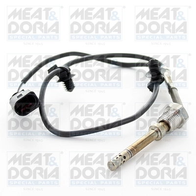 Sensor, exhaust gas temperature